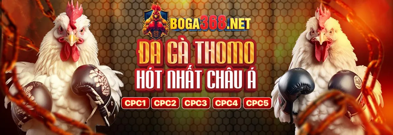 Hoàn Trả Hàng Tuần Slot game jili